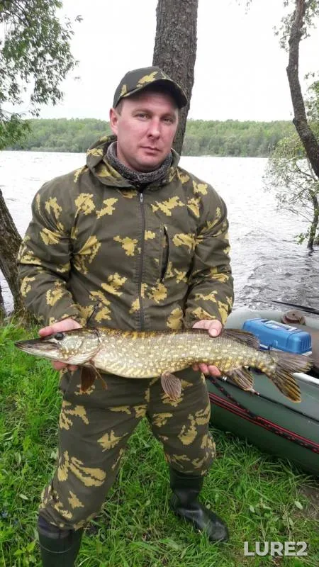 Pike — Selyava, Jun 01, 2020