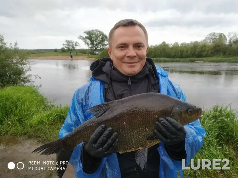 Bream — Poloza, Jun 02, 2020