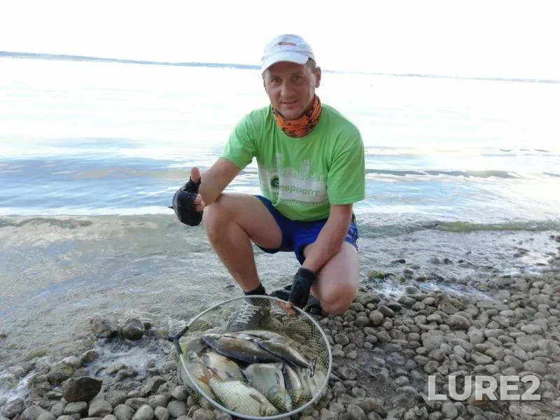 Bream, Roach — Zaslavskoye, Jul 19, 2020