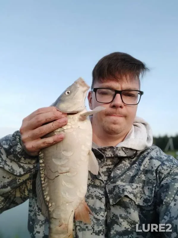Carp — Tsar-ozero, Aug 31, 2020