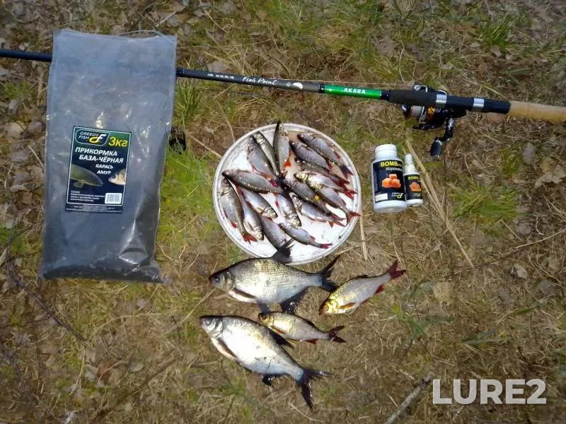 Bream, Rudd — Morochno, Apr 18, 2020