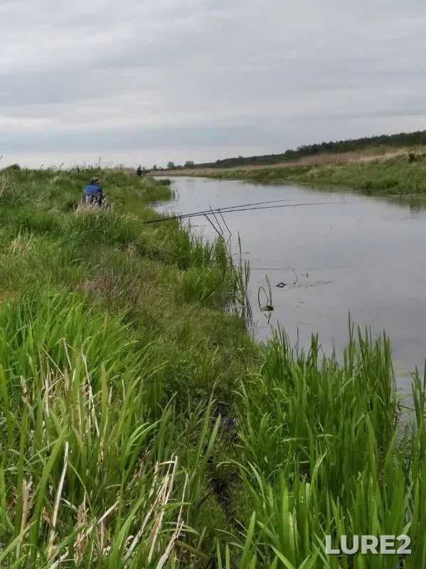 Bream, Crucian carp — Yaselda, May 30, 2020