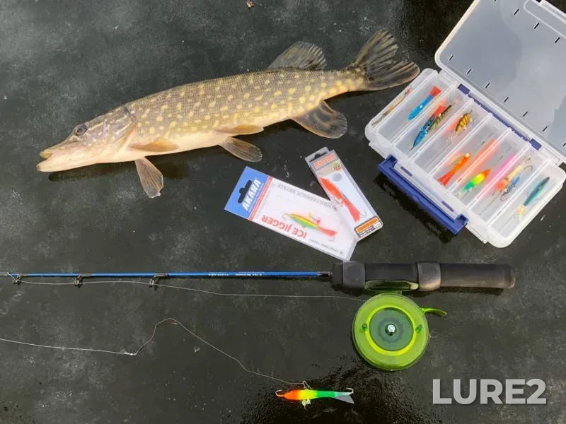Pike — Usyazha, Dec 11, 2019