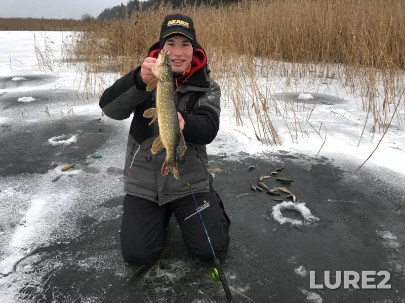 Perch, Pike — Usyazha, Dec 15, 2019