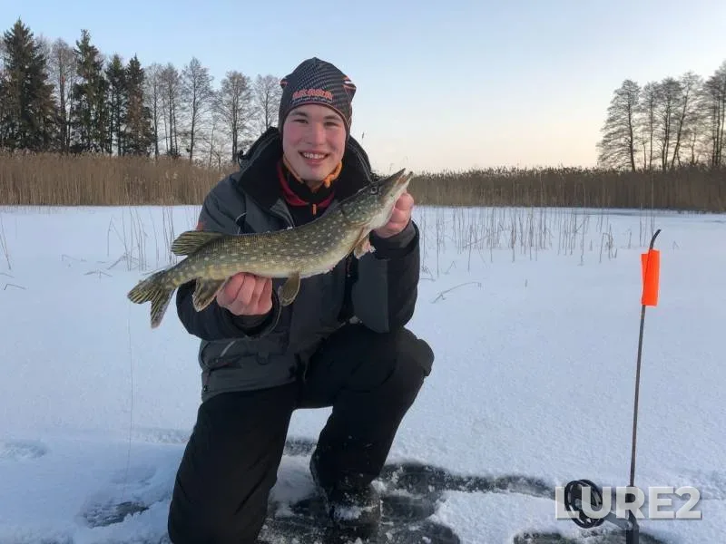 Pike — Usyazha, Feb 10, 2020