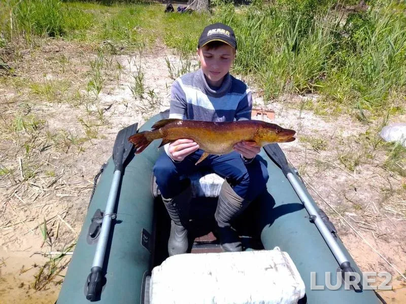 Pike — Morochno, Jun 07, 2020