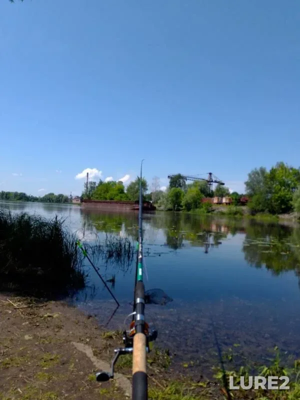 Bream — Pina, Jun 10, 2020