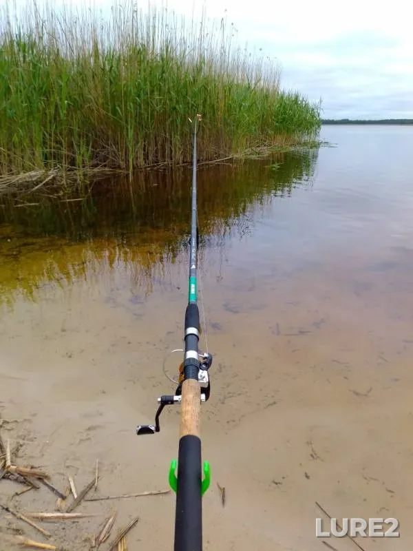 Bream, Roach — Morochno, Jun 14, 2020