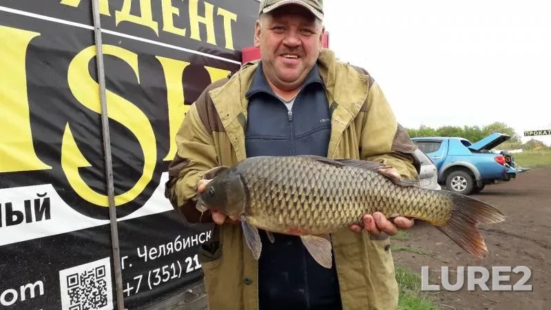 Carp — Chelyabinskaya oblast, Aug 21, 2019