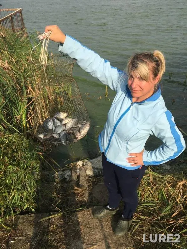Crucian carp — Dzerzhinskoye, Sep 06, 2020