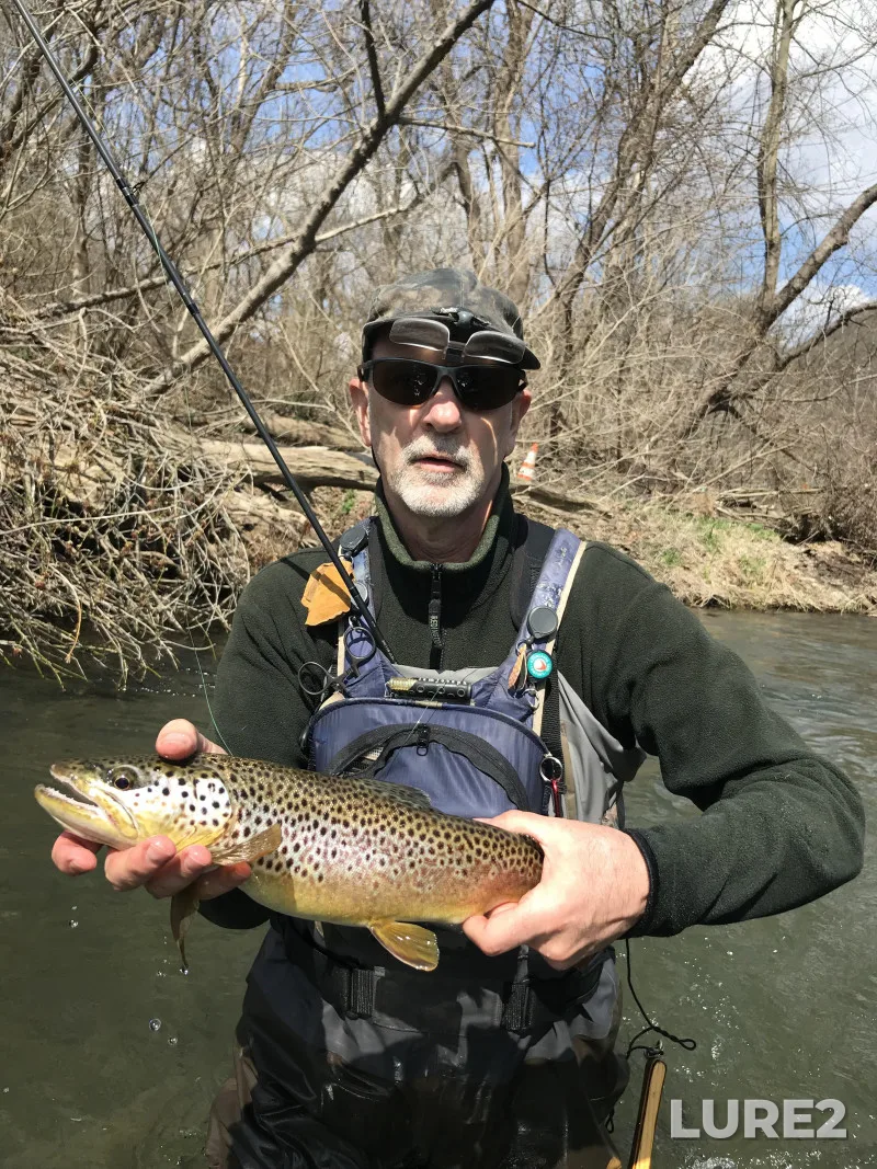 Brown trout — Spring Creek, Feb 22, 2019, 11:43 AM