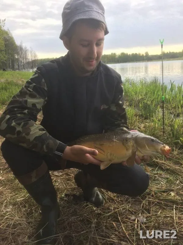 Carp — Mogilyovskaya oblast, Chausskiy rayon, May 17, 2020