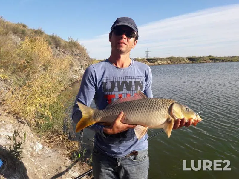 Carp — Chelyabinskaya oblast, Sep 14, 2018