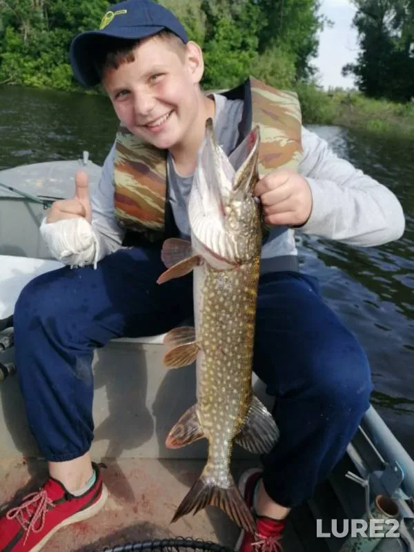 Pike — protoka Volotova, Jun 13, 2020