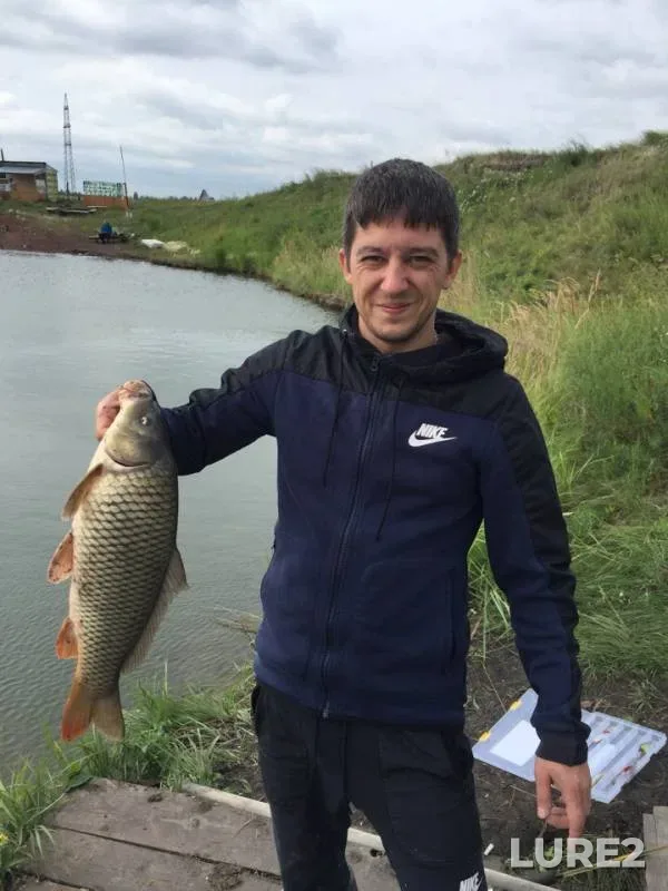 Carp — Chelyabinskaya oblast, Aug 12, 2018