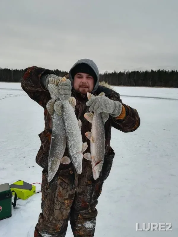 Pike — Nikolskoye, Dec 02, 2018
