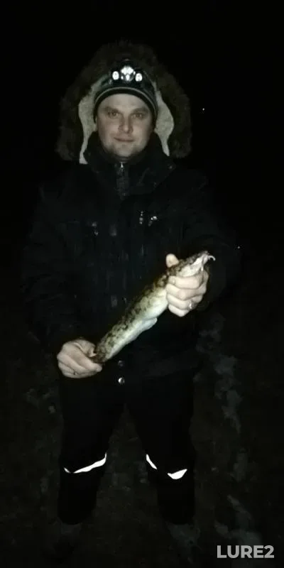 Burbot — Dnepr, Nov 25, 2018