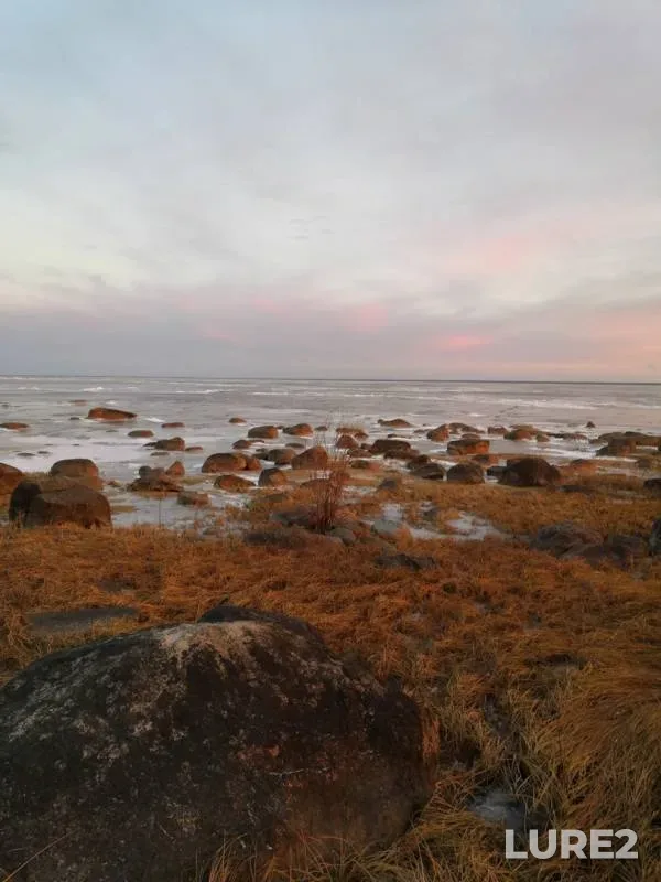Perch — Kubenskoye, Nov 21, 2018