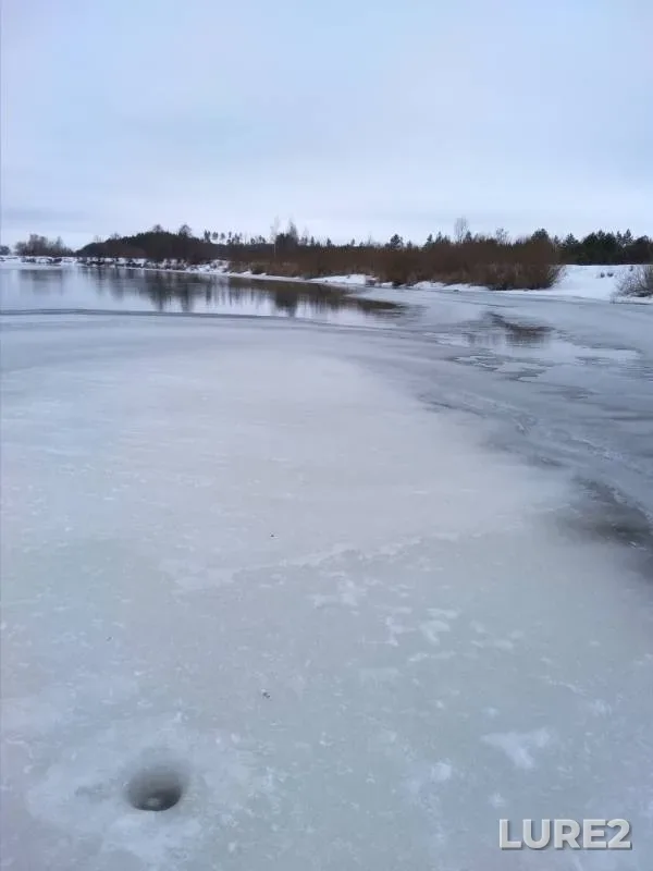 Roach, White bream — Kosolyanka, Feb 05, 2019