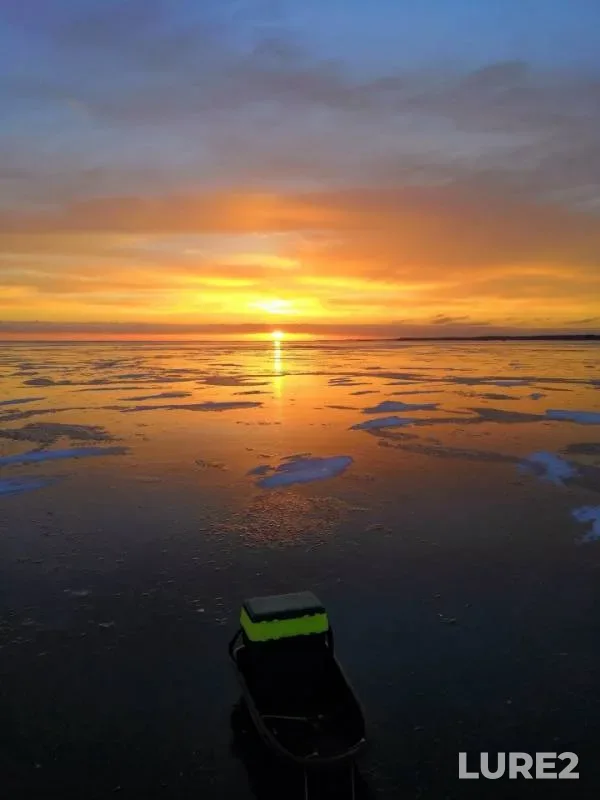 Perch — Kubenskoye, Feb 16, 2019