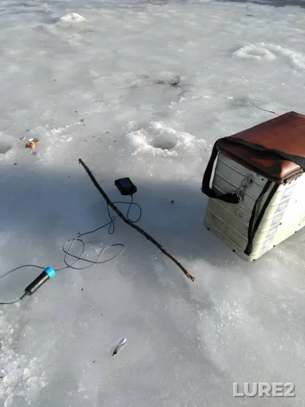 White bream — Dnepr, Feb 25, 2019
