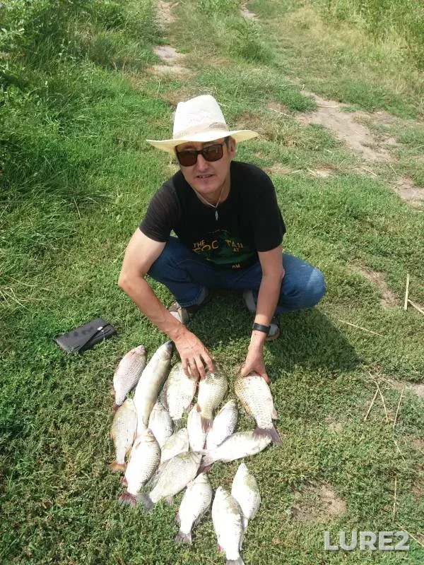 Crucian carp, Roach — Almatinskaya oblast, Jul 30, 2019
