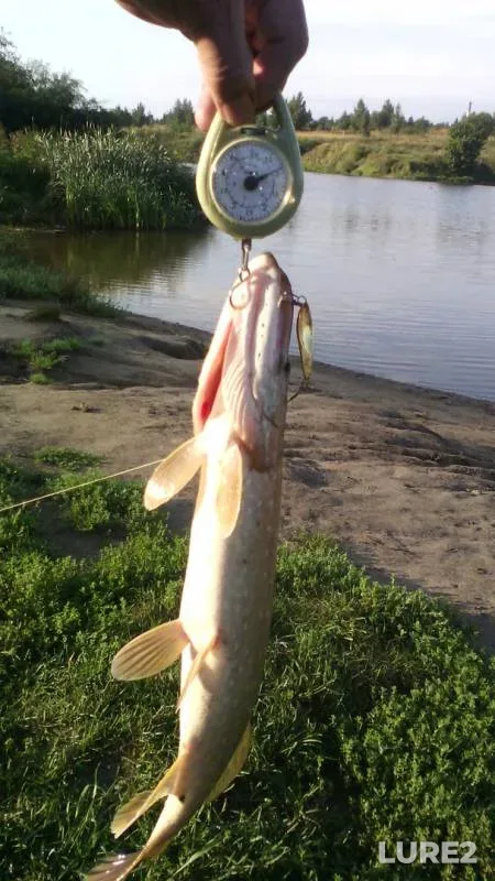 Pike — Severnyy, Sep 12, 2017