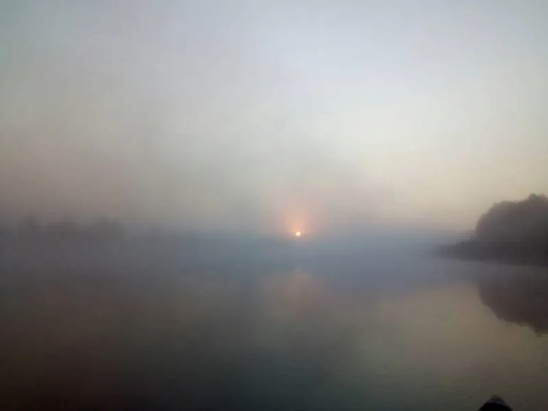 Окунь, Щука