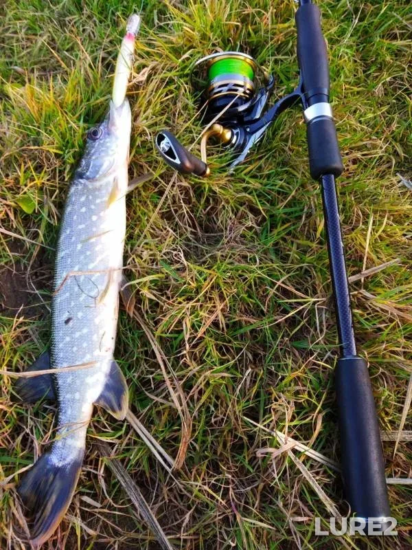 Pike — Dnepr, Sep 27, 2019