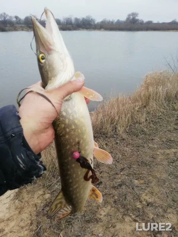 Pike — Okra, Dec 14, 2019