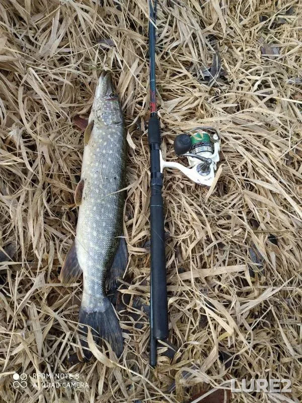 Pike — Dobysna, Jan 08, 2020