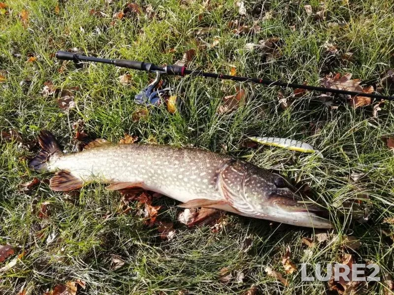 Pike — Dnepr, Oct 19, 2020