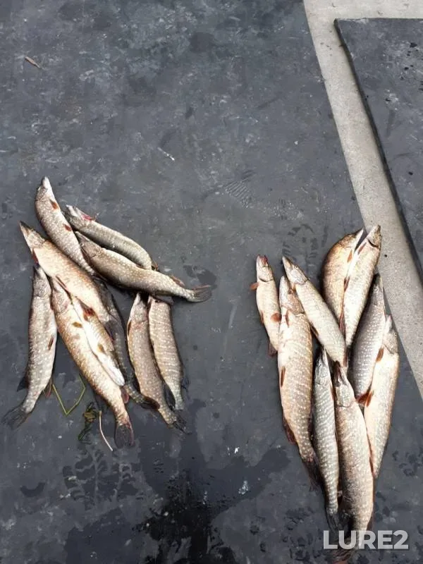 Pike — Imandra, Jun 24, 2019