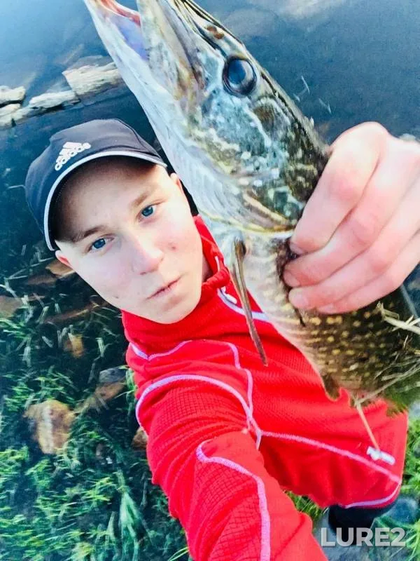 Pike — Kovdozero, Jun 13, 2019