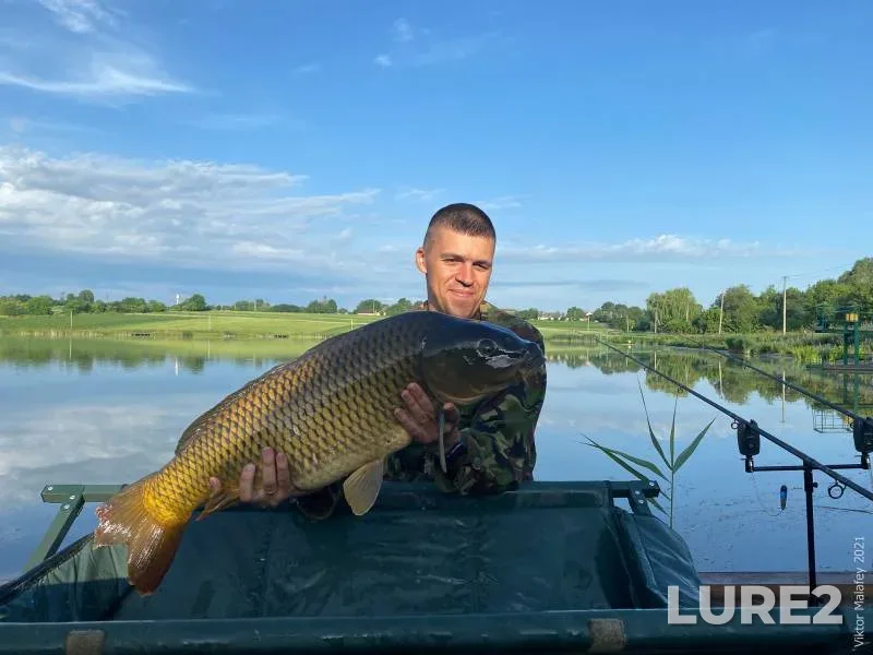 Carp — Rіvnenska oblast, Jun 26, 2021, 7:04 AM