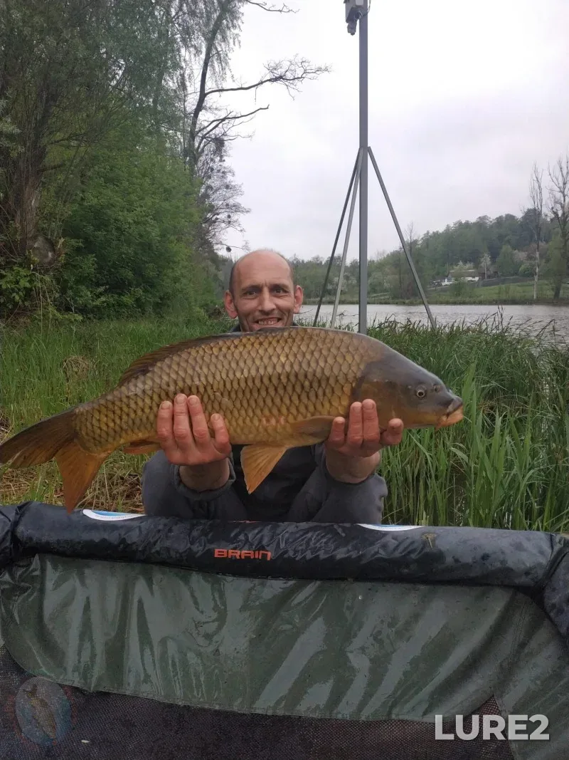 Carp — Kiїvska oblast, May 08, 2019