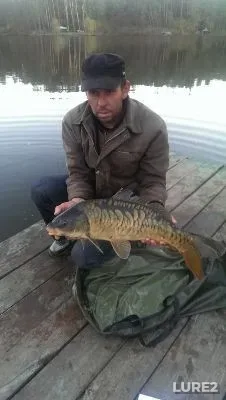 Carp — Kiїvska oblast, Oct 18, 2014, 5:58 PM