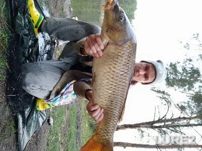 Carp — Kiїvska oblast, Apr 25, 2020, 8:10 PM
