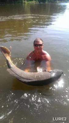 Carp — Kiїvska oblast, Aug 05, 2014, 10:37 AM