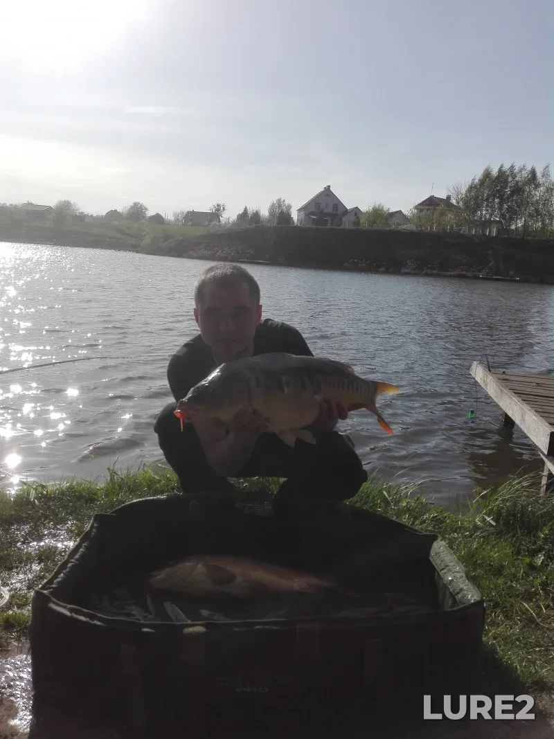 Carp — Kiїvska oblast, Apr 28, 2017, 5:00 PM