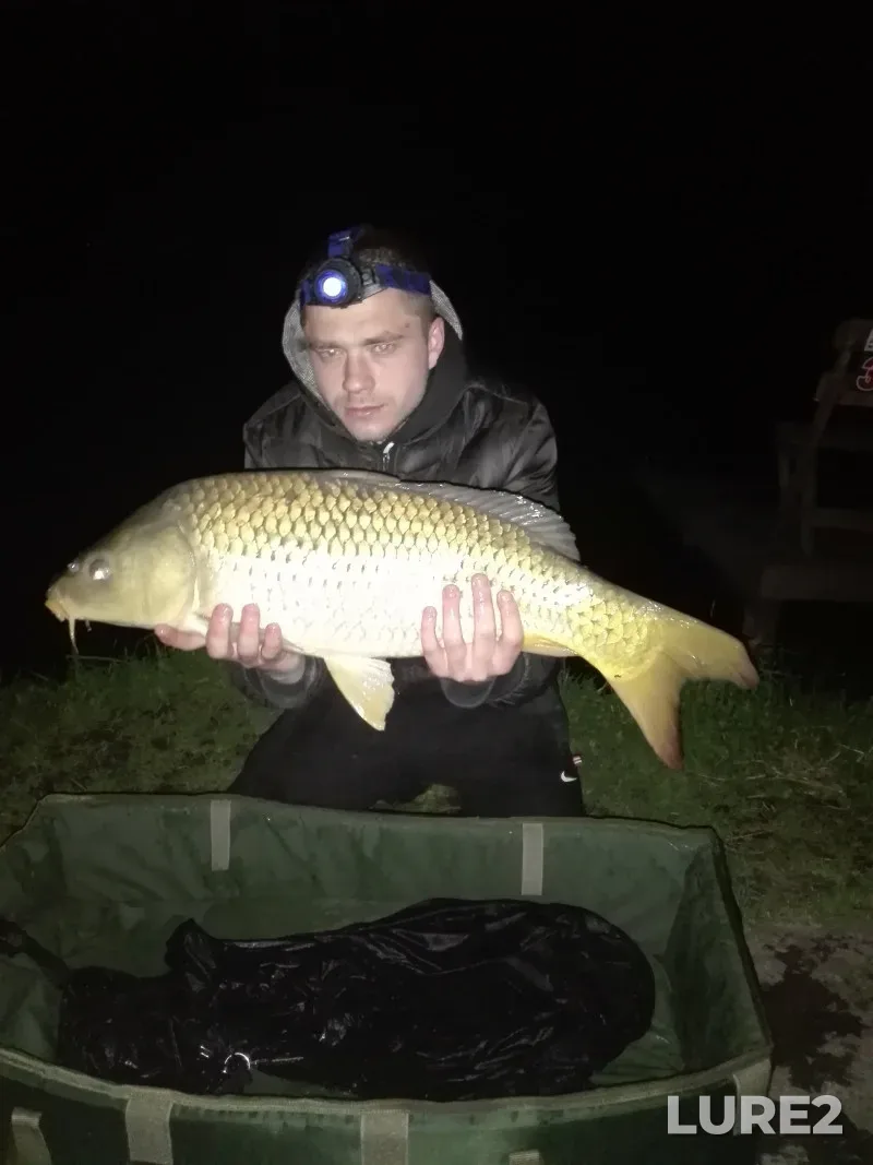 Carp — Kiїvska oblast, Apr 29, 2017, 4:40 AM