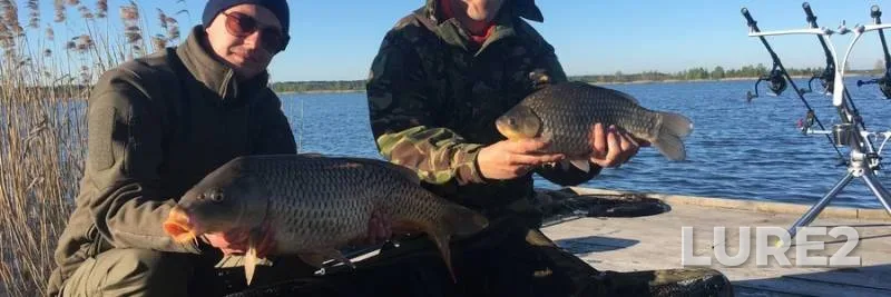 Carp, Crucian carp — Volinska oblast, Apr 22, 2018