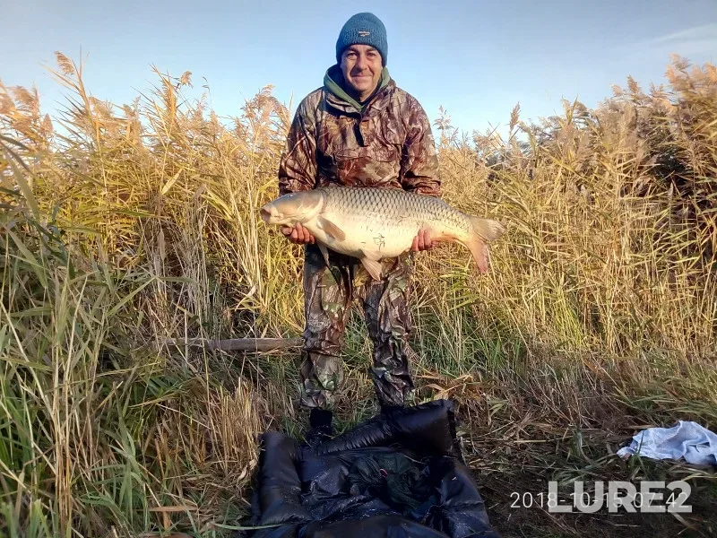 Carp — Donetska oblast, Oct 15, 2018, 7:42 AM