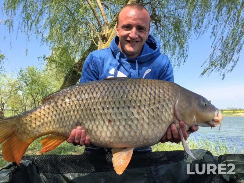 Carp — Khersonska oblast, May 04, 2019, 3:01 PM