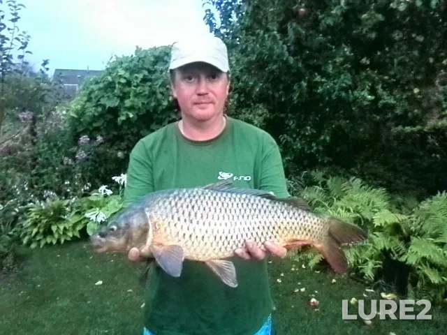 Carp — Kiїvska oblast, Aug 16, 2014, 8:15 PM