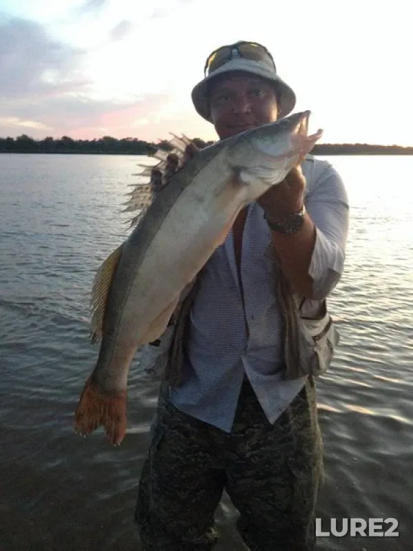 Zander — Akhtuba, Jul 27, 2014