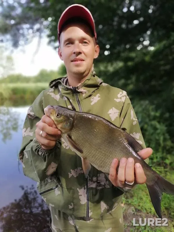 Bream — Lokhozva, Aug 03, 2021