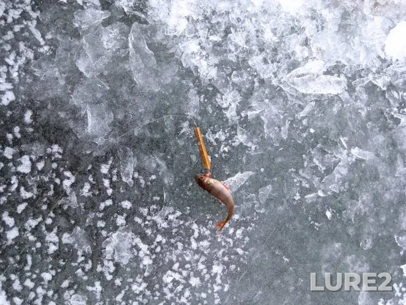 Perch — Brestskaya oblast, Baranovichskiy rayon, Jan 09, 2022
