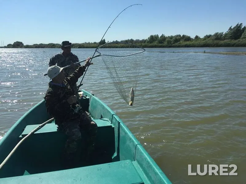 Pike — Staraya Volga, Aug 31, 2021