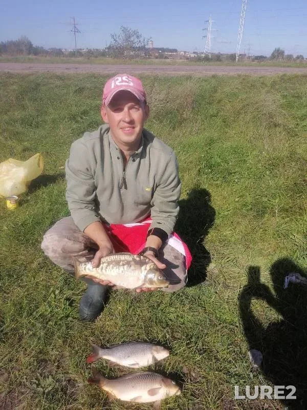 Carp — Brestskaya oblast, Beryozovskiy rayon, Sep 27, 2021